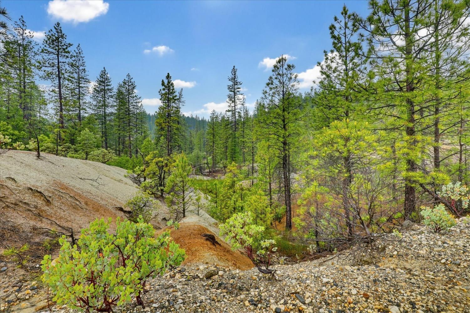 13751 Sailor Flat Road Nevada City, CA 95959 - Photo 40 of 49