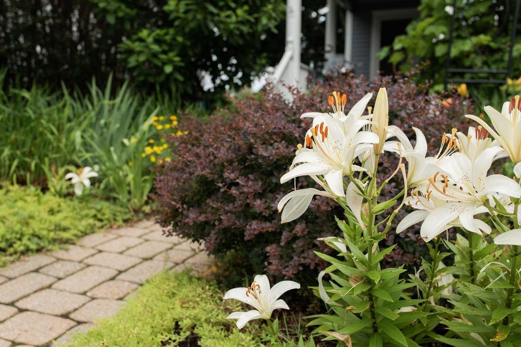 71 Middle Road Portsmouth, NH 03801 - Photo 28 of 34 Gallery Image 28