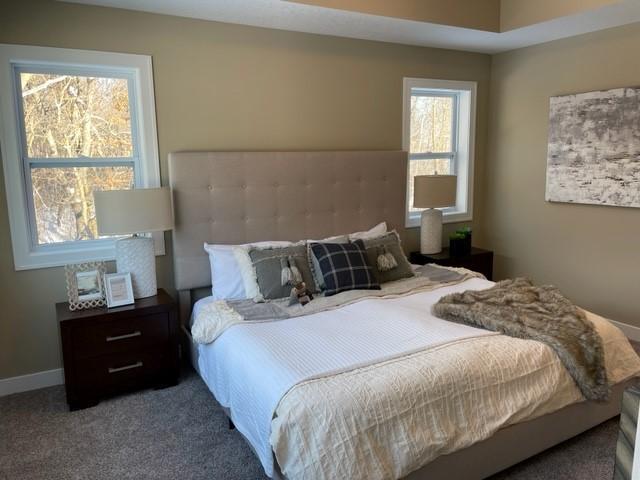 295 Eagle Ridge Drive Roberts, WI 54023 - Photo 12 of 16 Gallery Image 12