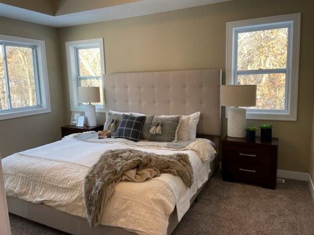 295 Eagle Ridge Drive Roberts, WI 54023 - Photo 13 of 16 Gallery Image 13