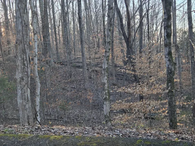 $55,000 | 0 Westwood Drive, Waverly, TN 37185