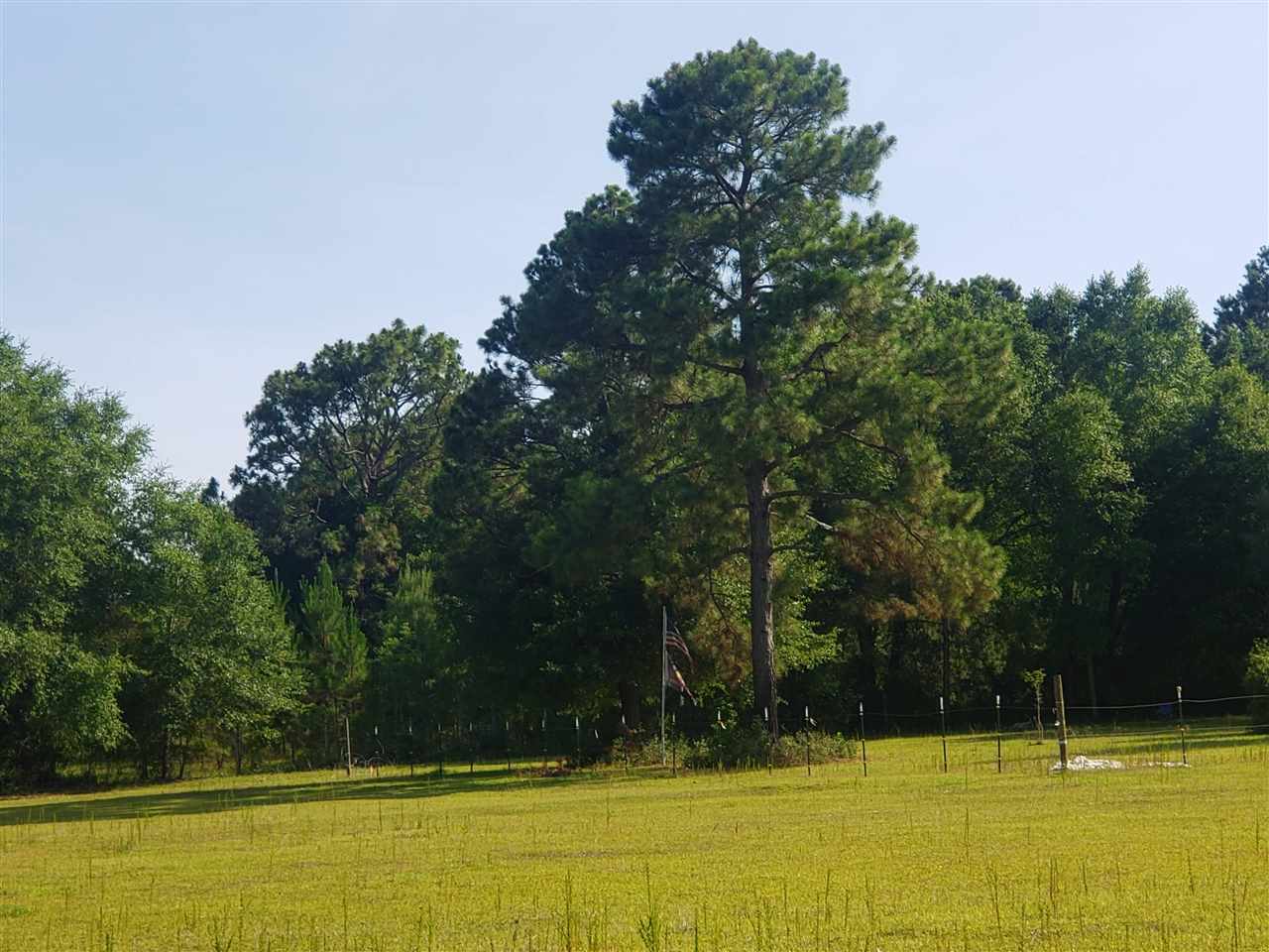 9736 Hildreth Drive Elberta, AL 36530 - Photo 5 of 9