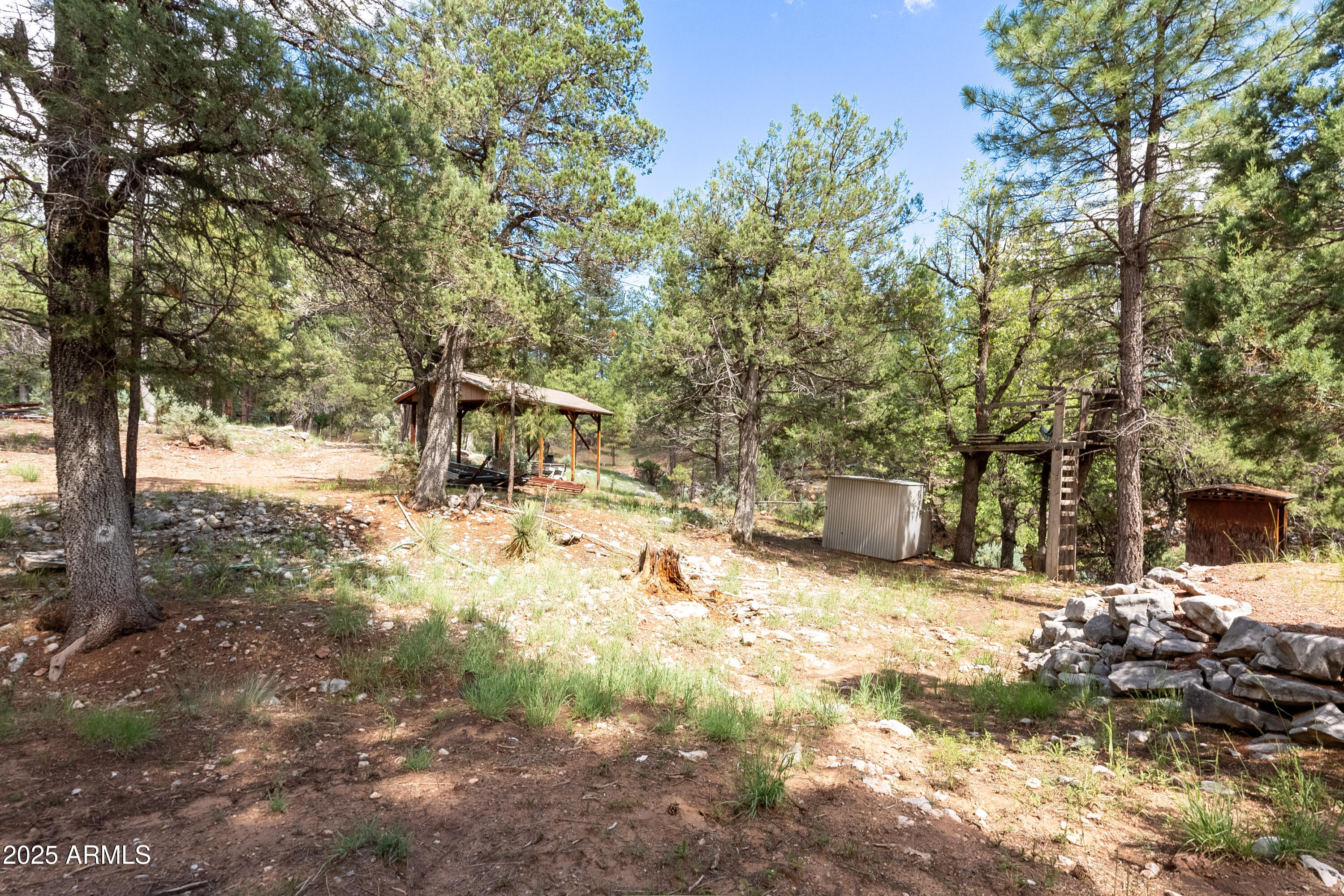 199 South Greystone Circle Payson, AZ 85541 - Photo 63 of 83 a view of a yard with large trees