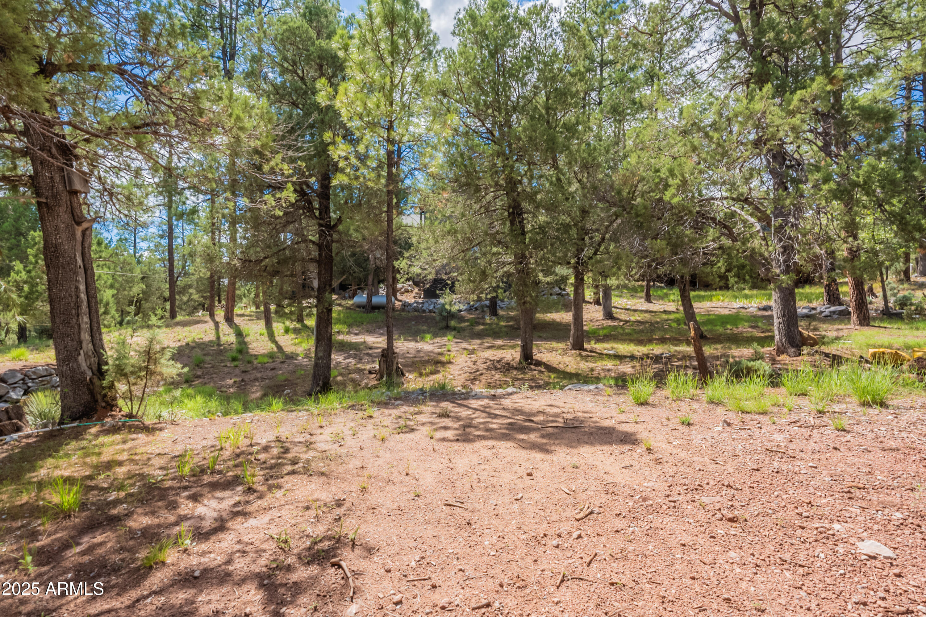199 South Greystone Circle Payson, AZ 85541 - Photo 66 of 83 Greystone-64
