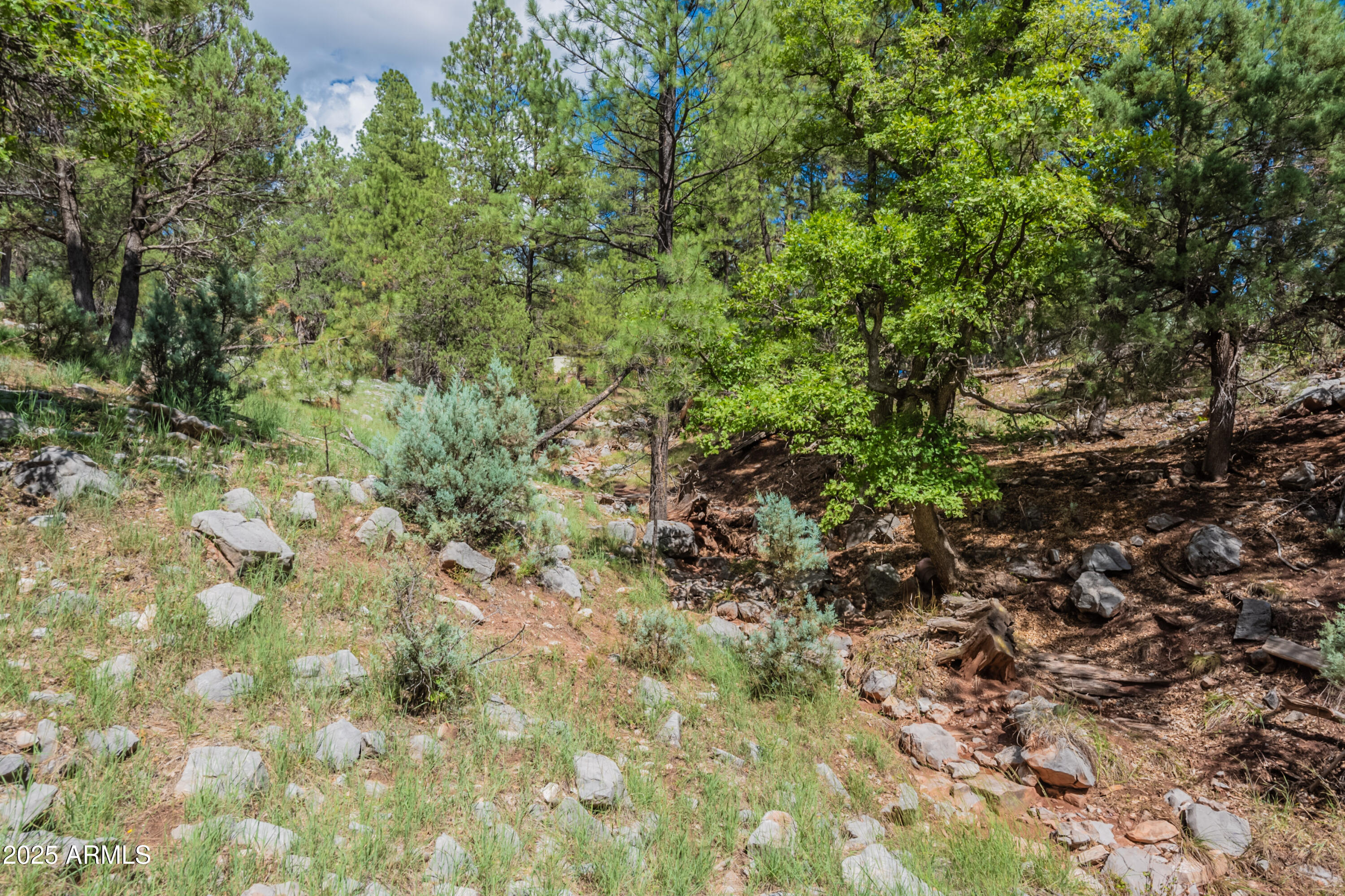199 South Greystone Circle Payson, AZ 85541 - Photo 67 of 83 a view of a yard