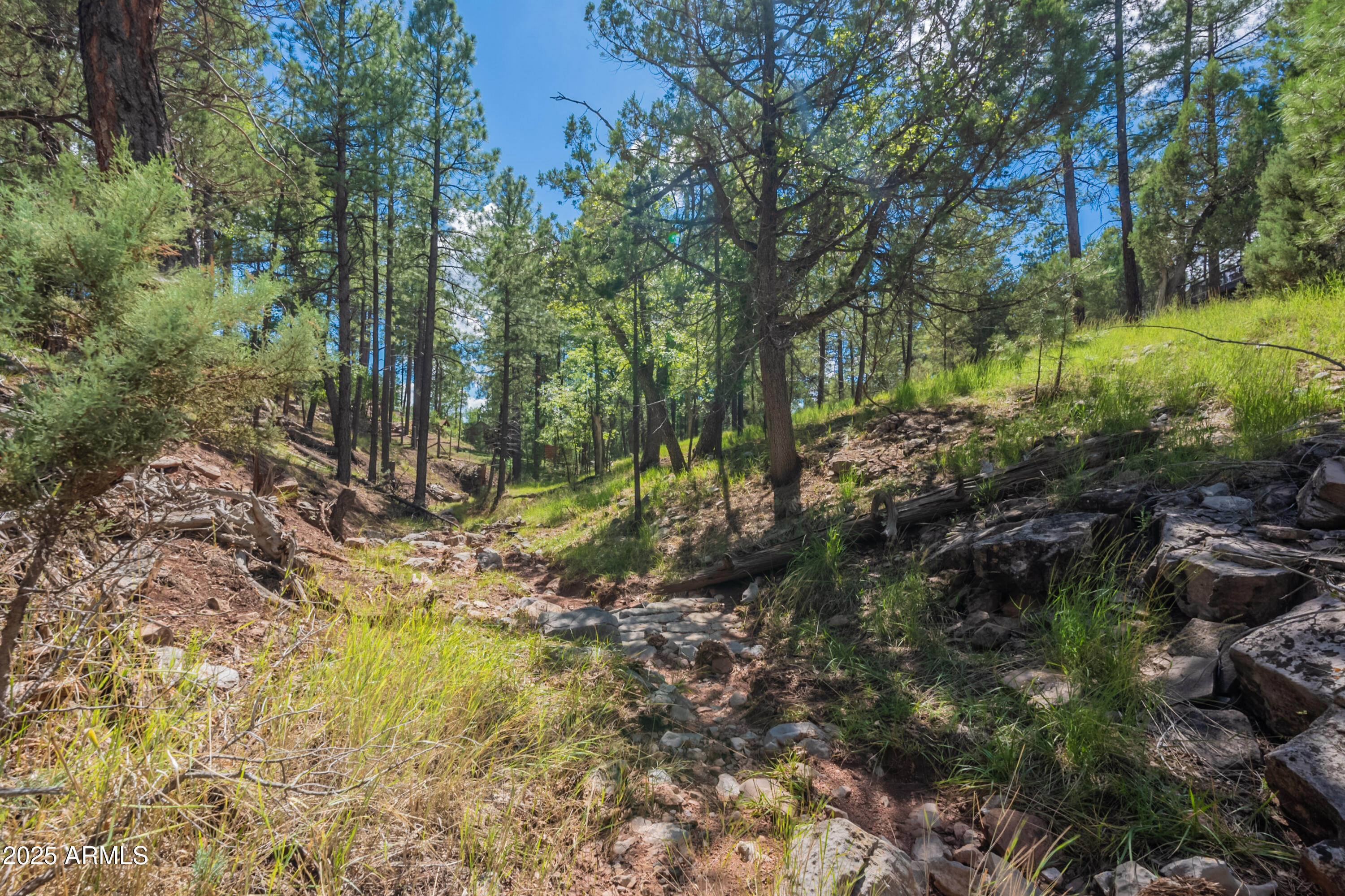 199 South Greystone Circle Payson, AZ 85541 - Photo 68 of 83 a view of a yard with plants and large trees