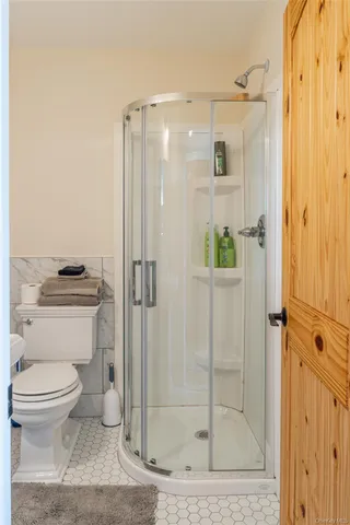 a bathroom with a shower and a toilet