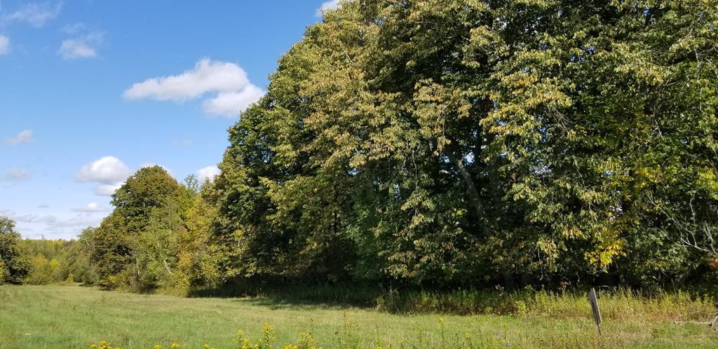 . Shee Woods Road Chateaugay, NY 12920 - Photo 2 of 14