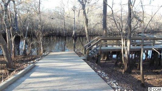 871 Tilly Lake Road Conway, SC 29526 - Photo 24 of 25 Gallery Image 24