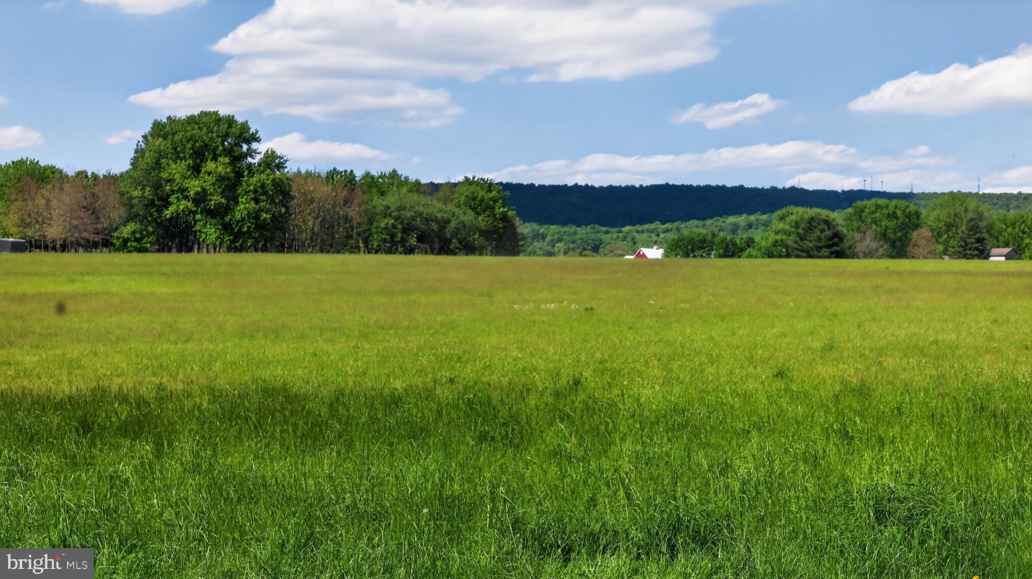 1599 Sanctuary Road Manheim, PA 17545 - Photo 59 of 66 Vast green fields under a blue sky.