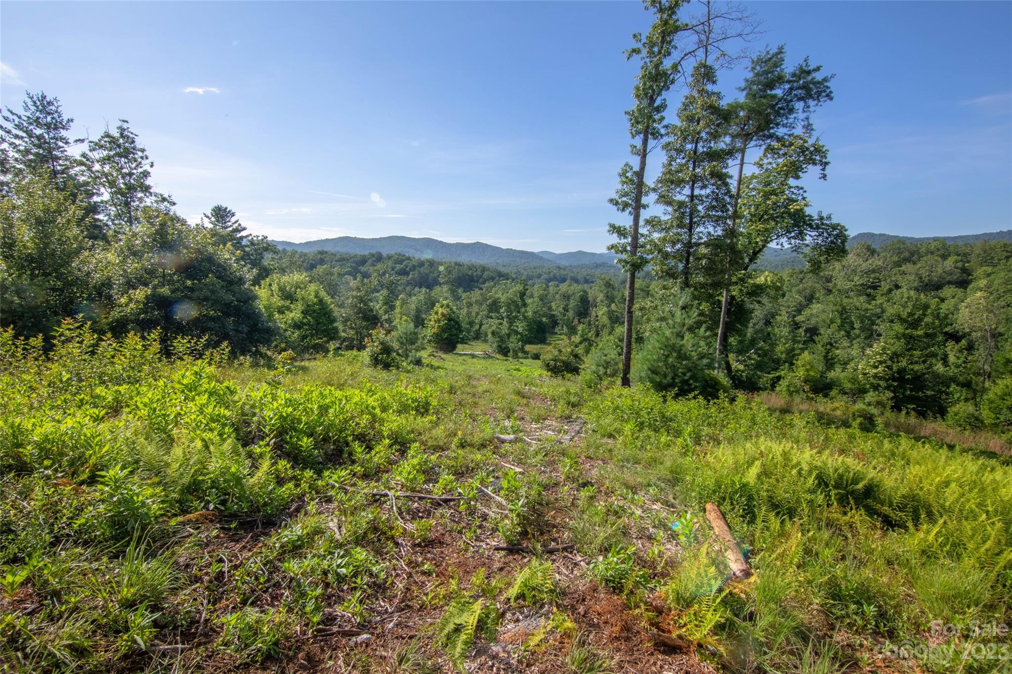 Tbd Walnut Hollow Road, Unit 1 AND 2 Brevard, NC 28712 - Photo 11 of 37 Gallery Image 11