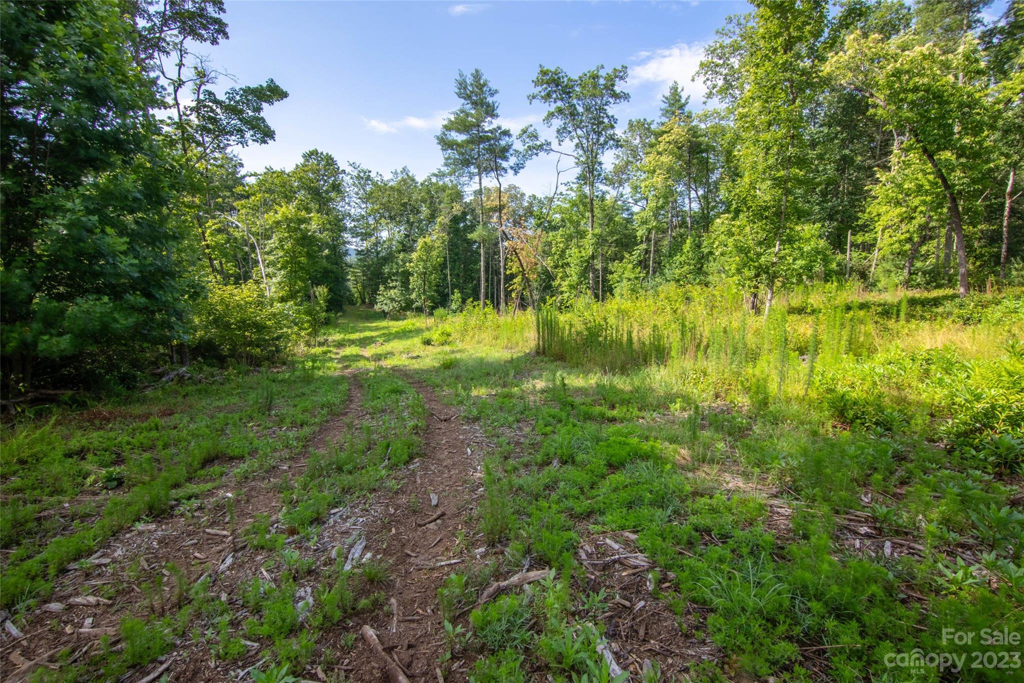 Tbd Walnut Hollow Road, Unit 1 AND 2 Brevard, NC 28712 - Photo 14 of 37 Gallery Image 14