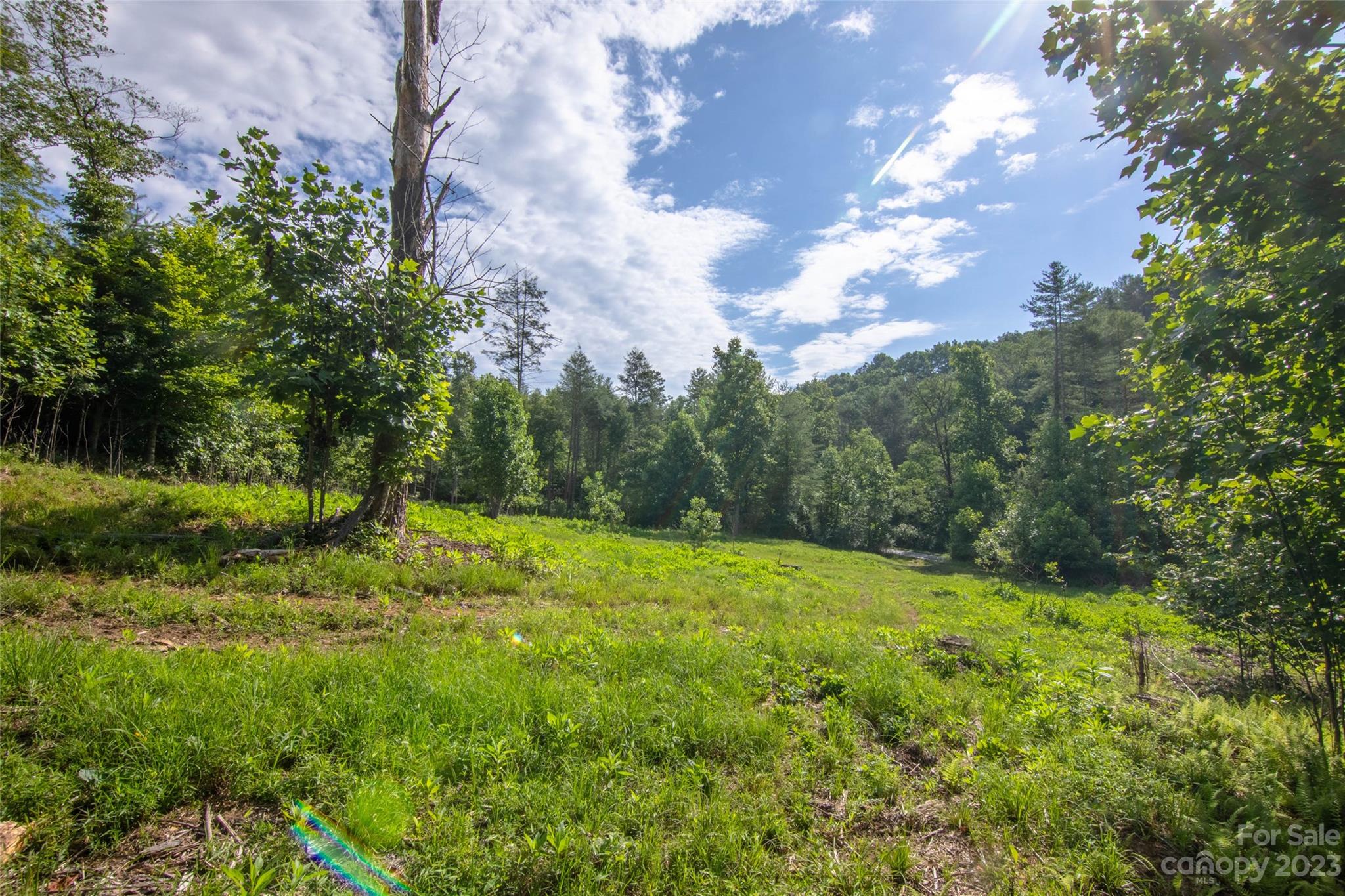 Tbd Walnut Hollow Road, Unit 1 AND 2 Brevard, NC 28712 - Photo 15 of 37 Gallery Image 15