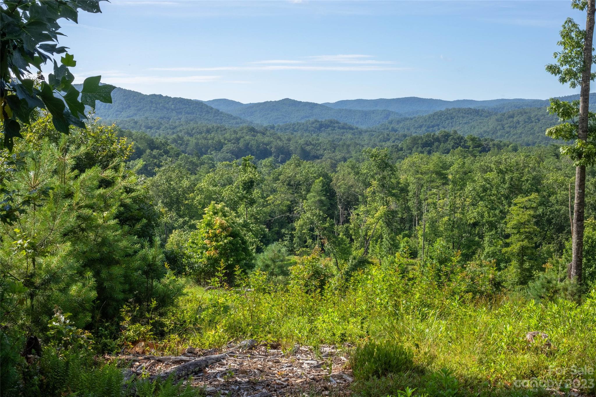Tbd Walnut Hollow Road, Unit 1 AND 2 Brevard, NC 28712 - Photo 2 of 37 Gallery Image 2