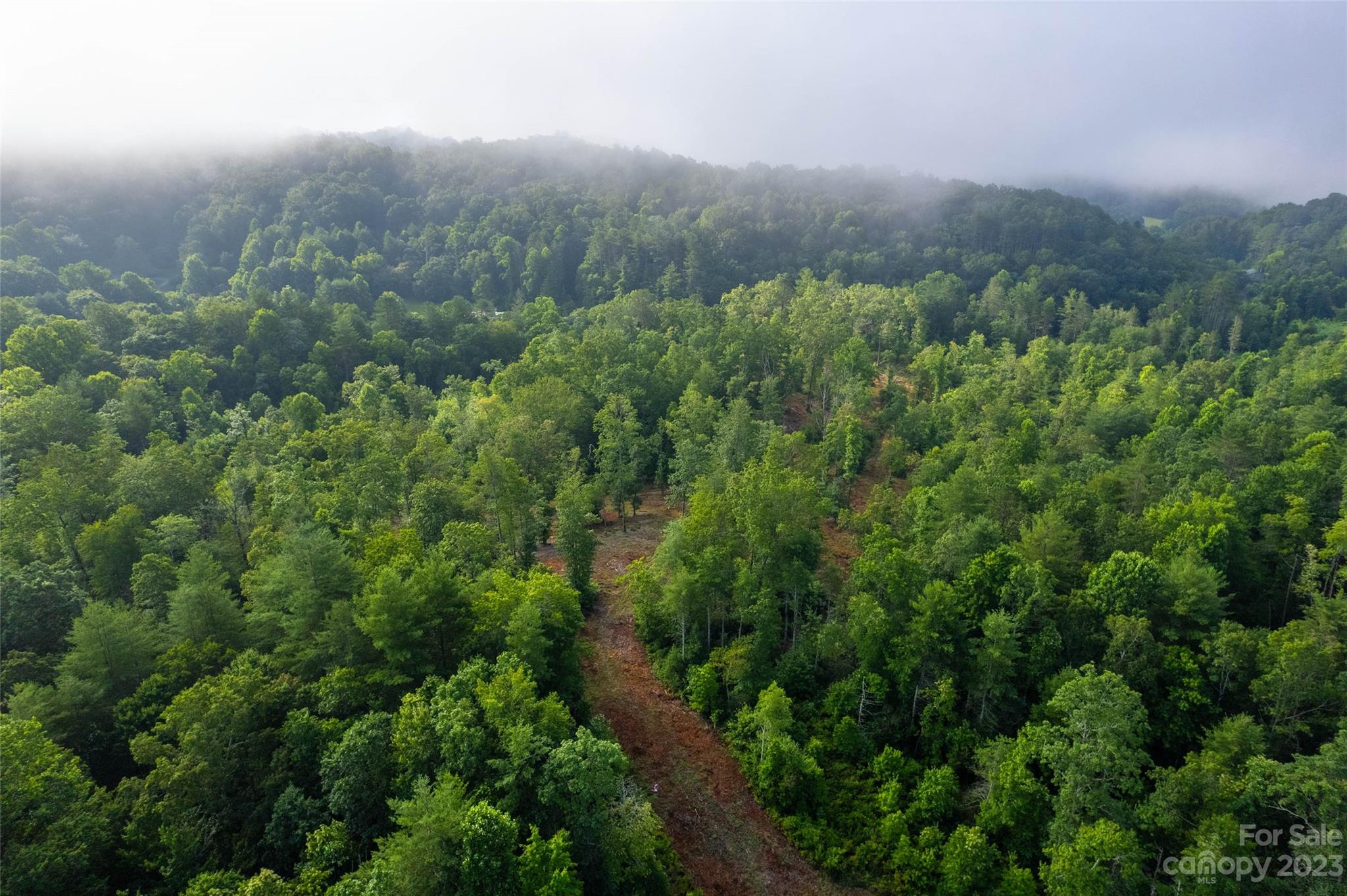 Tbd Walnut Hollow Road, Unit 1 AND 2 Brevard, NC 28712 - Photo 21 of 37 Gallery Image 21
