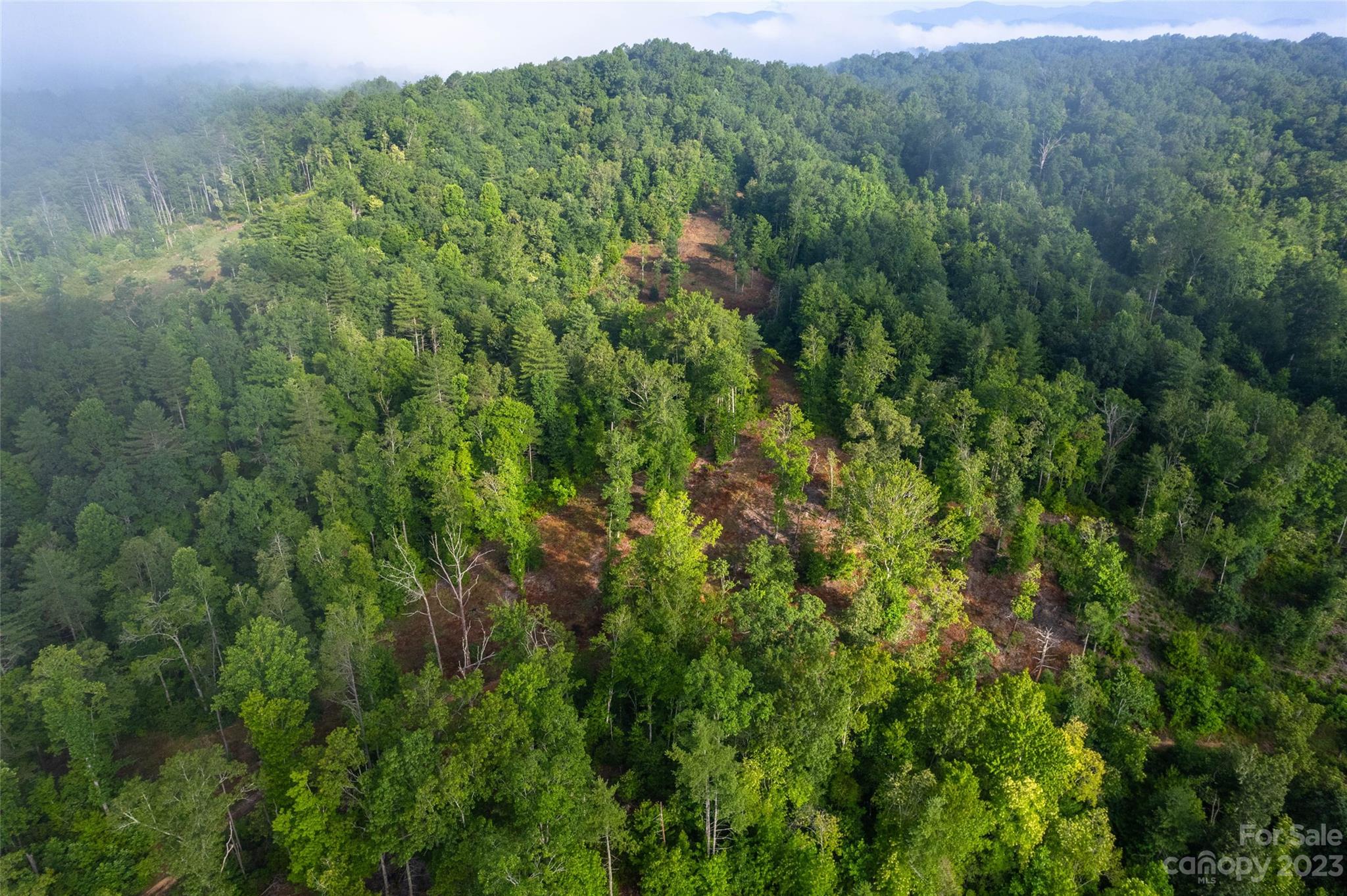 Tbd Walnut Hollow Road, Unit 1 AND 2 Brevard, NC 28712 - Photo 24 of 37 Gallery Image 24