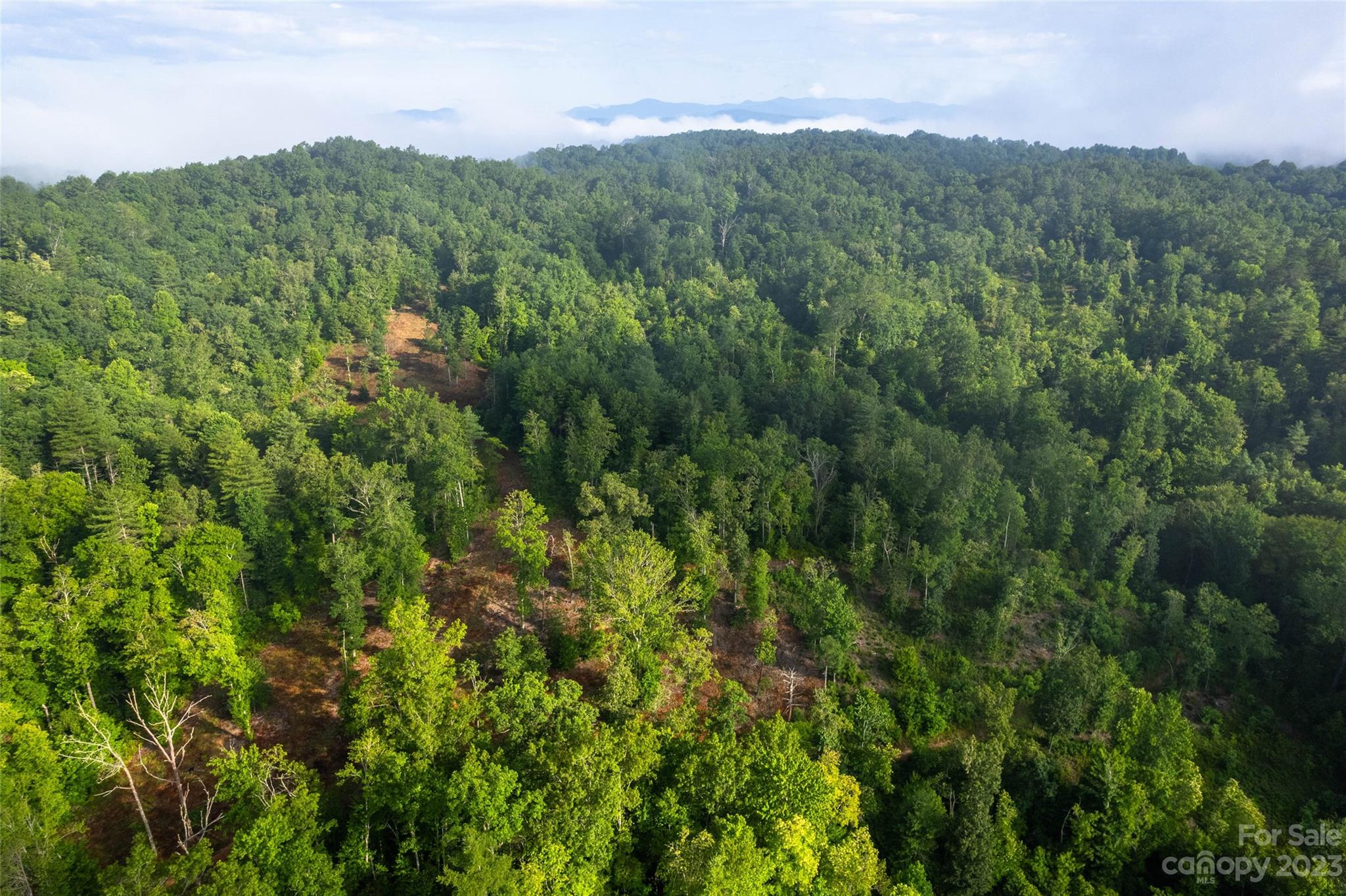 Tbd Walnut Hollow Road, Unit 1 AND 2 Brevard, NC 28712 - Photo 27 of 37 Gallery Image 27