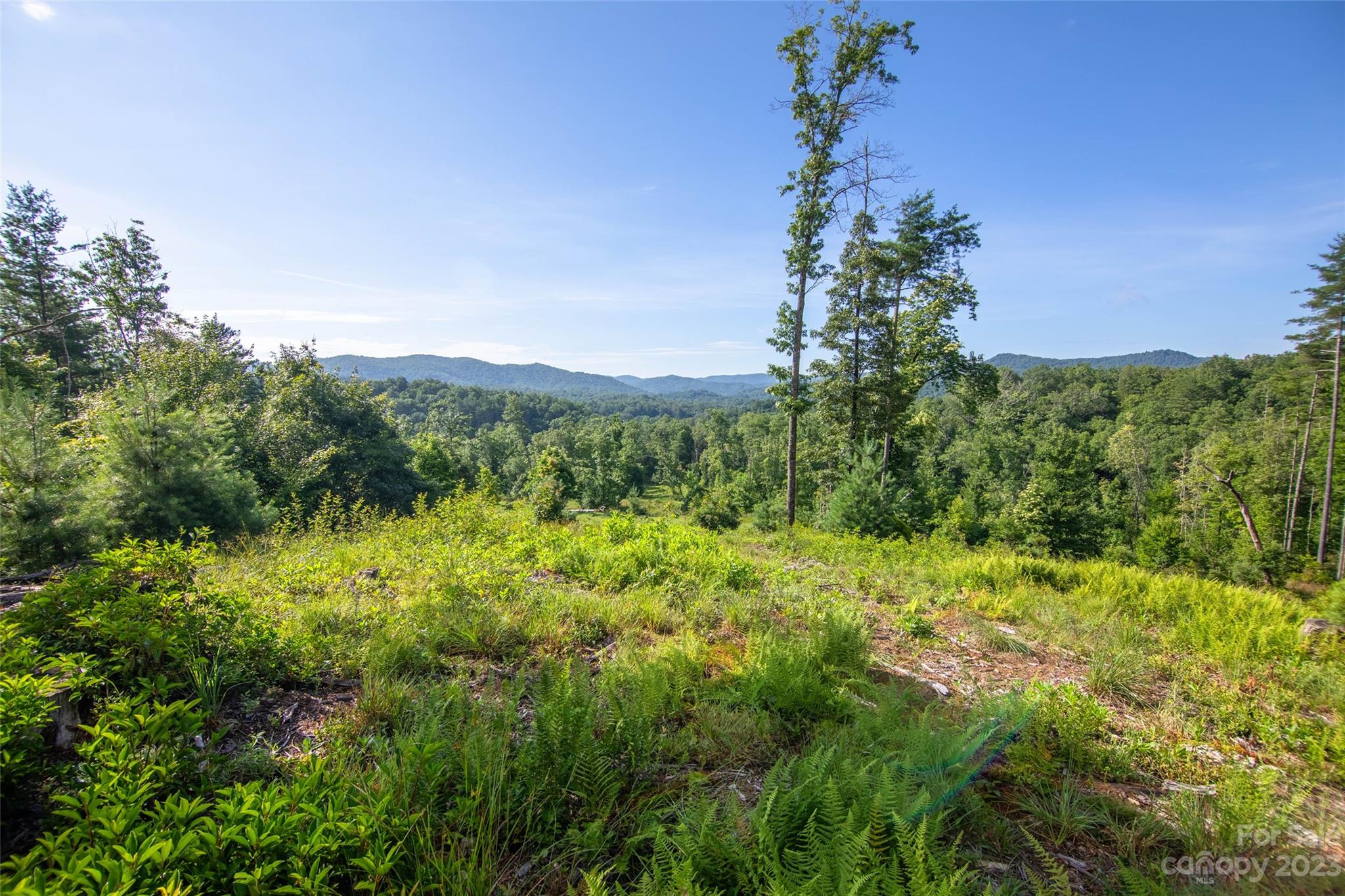 Tbd Walnut Hollow Road, Unit 1 AND 2 Brevard, NC 28712 - Photo 3 of 37 Gallery Image 3