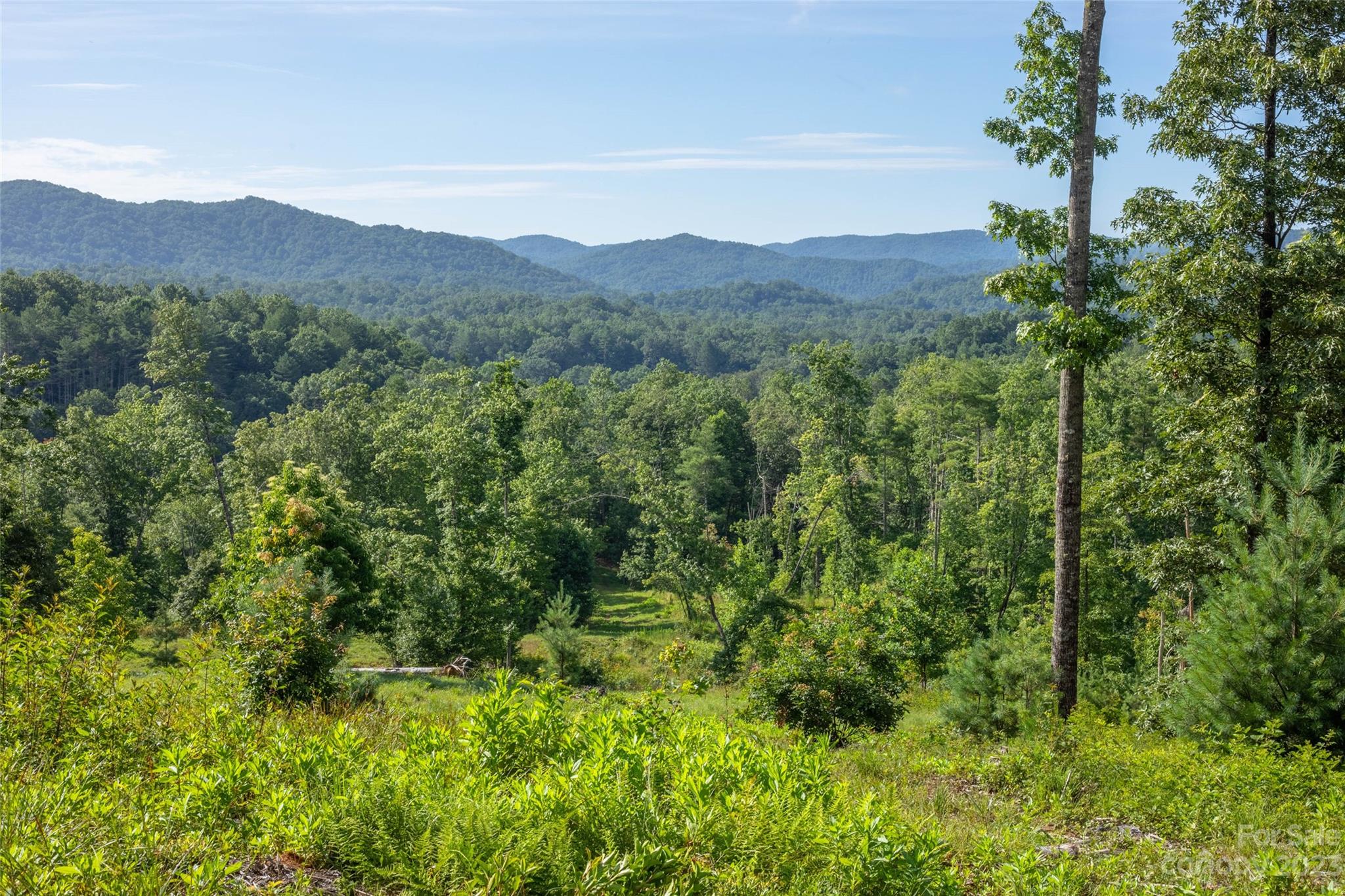 Tbd Walnut Hollow Road, Unit 1 AND 2 Brevard, NC 28712 - Photo 4 of 37 Gallery Image 4