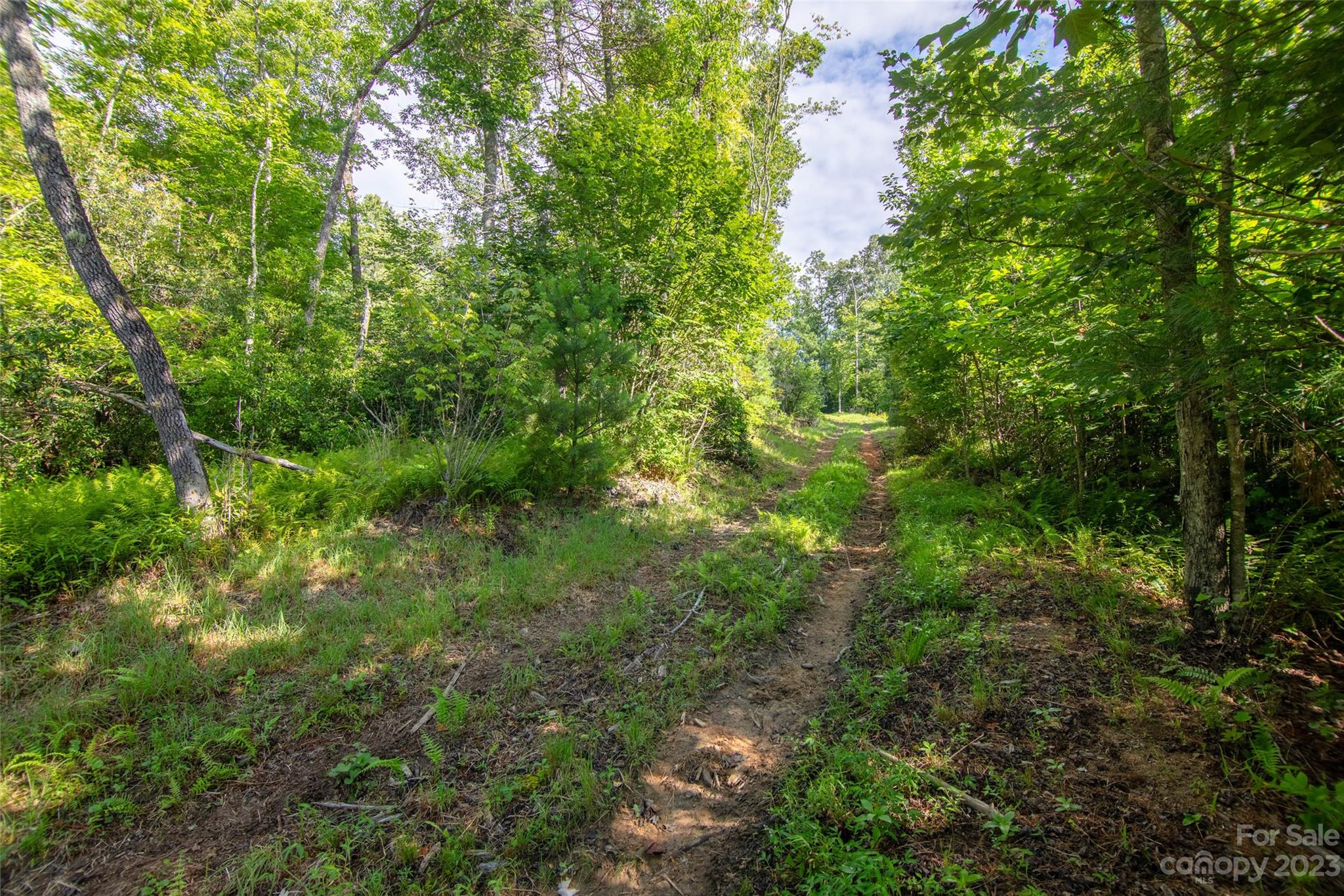 Tbd Walnut Hollow Road, Unit 1 AND 2 Brevard, NC 28712 - Photo 6 of 37 Gallery Image 6