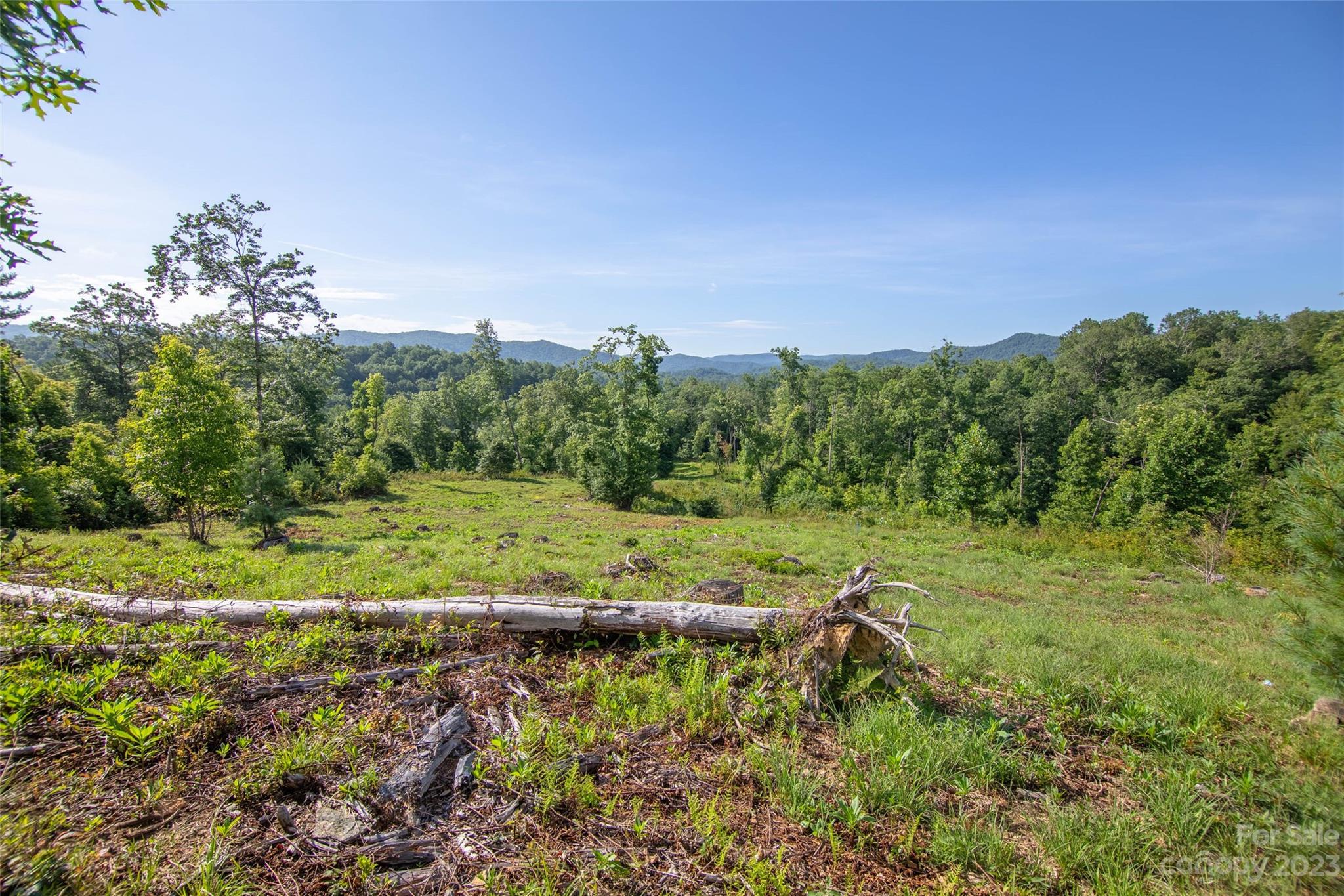 Tbd Walnut Hollow Road, Unit 1 AND 2 Brevard, NC 28712 - Photo 10 of 37 Gallery Image 10