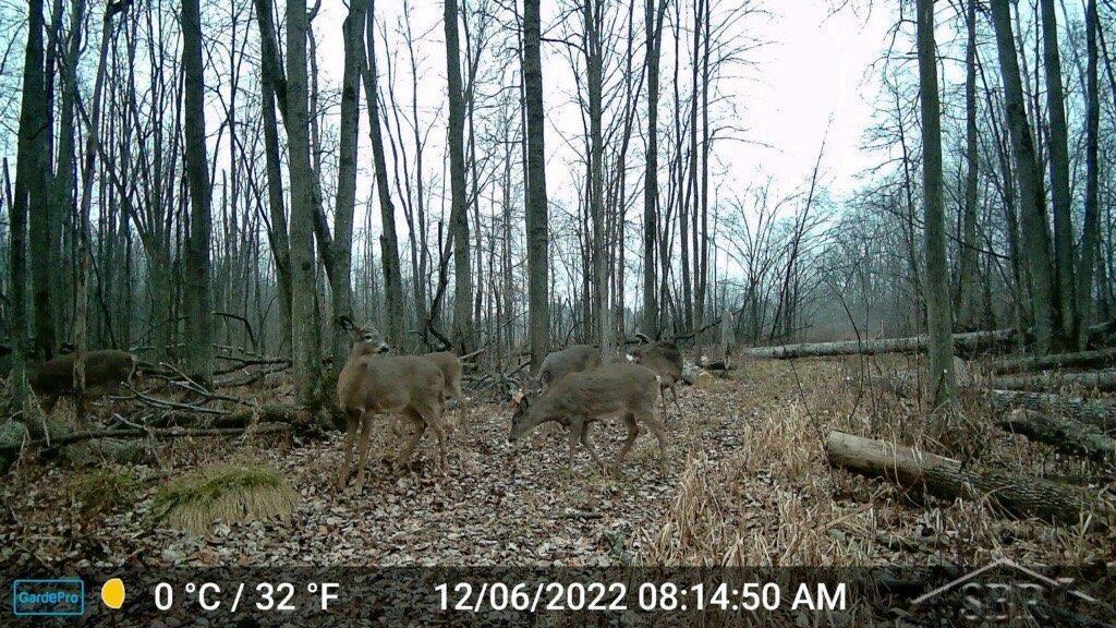 0 Carter Pinconning, MI 48650 - Photo 28 of 29 50108167-27.JPG