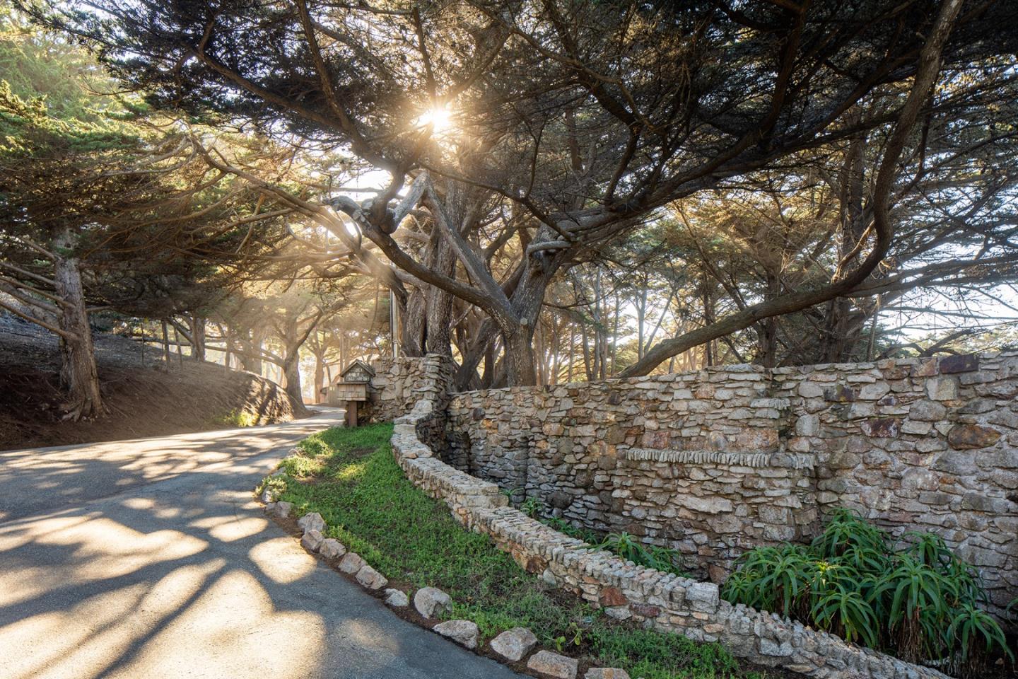 171 Spindrift Road Carmel, CA 93923 - Photo 6 of 37 a pathway of a yard