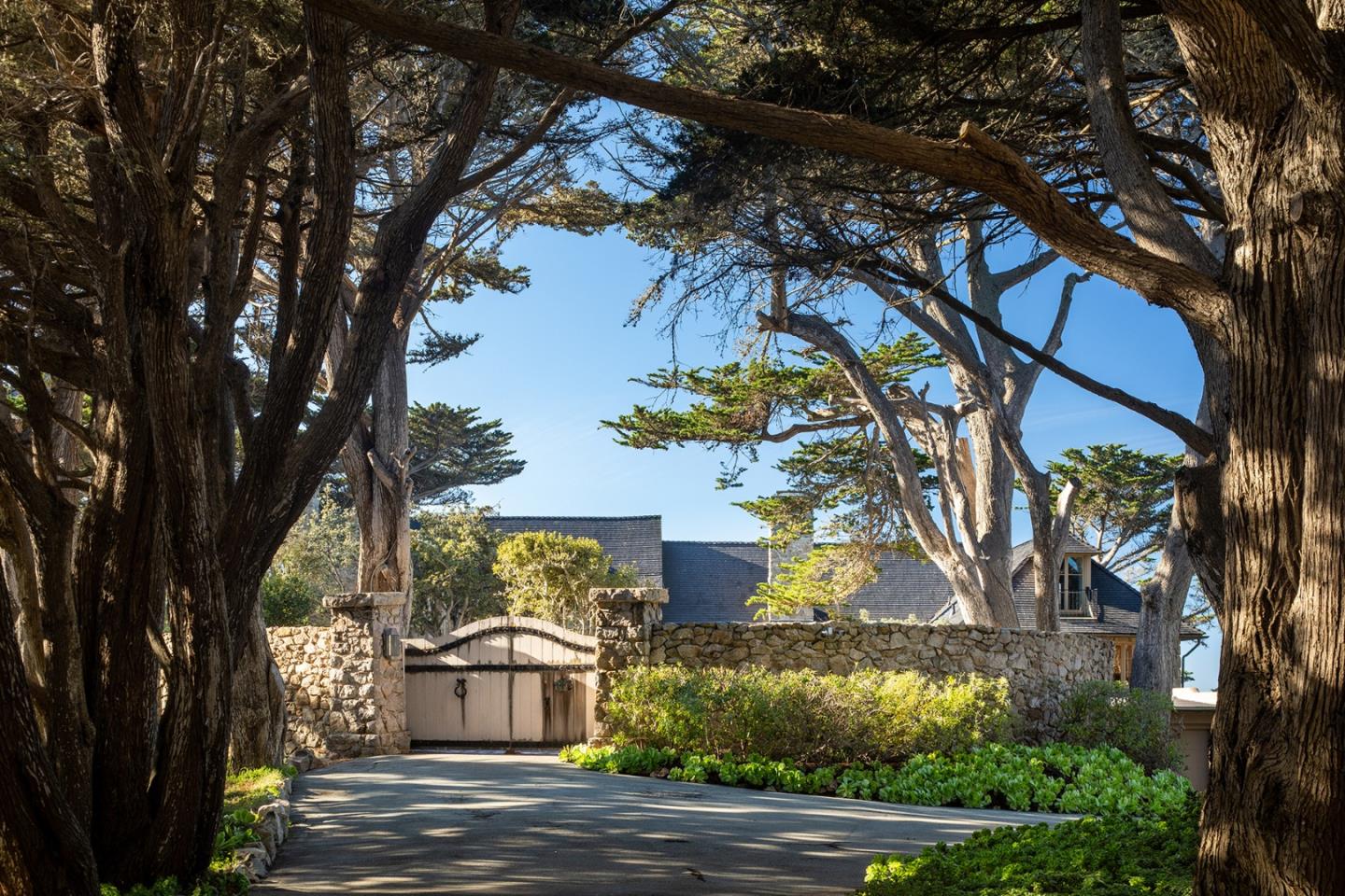 171 Spindrift Road Carmel, CA 93923 - Photo 8 of 37 a view of a large trees in a yard