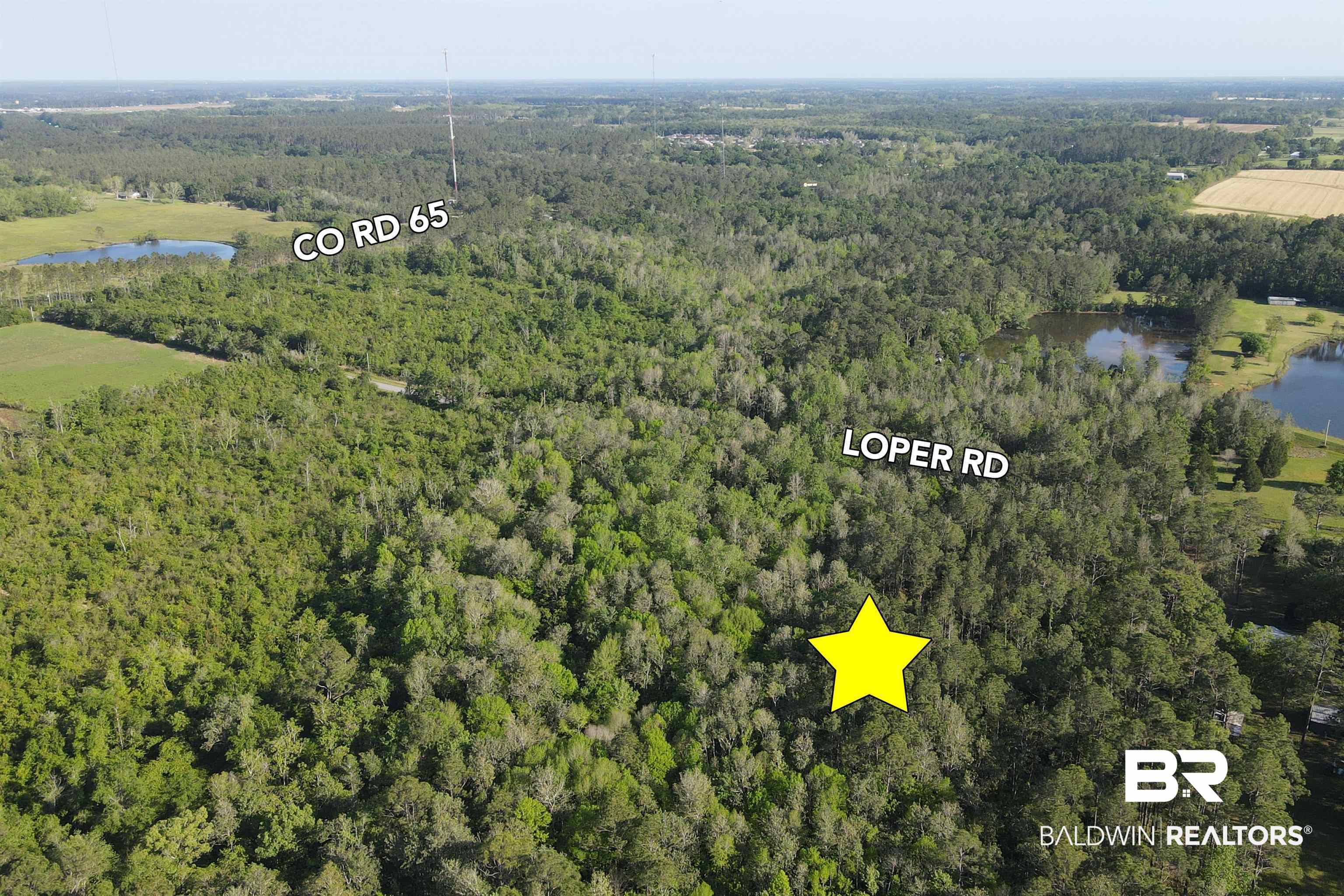 0 Loper Road Loxley, AL 36551 - Photo 2 of 9