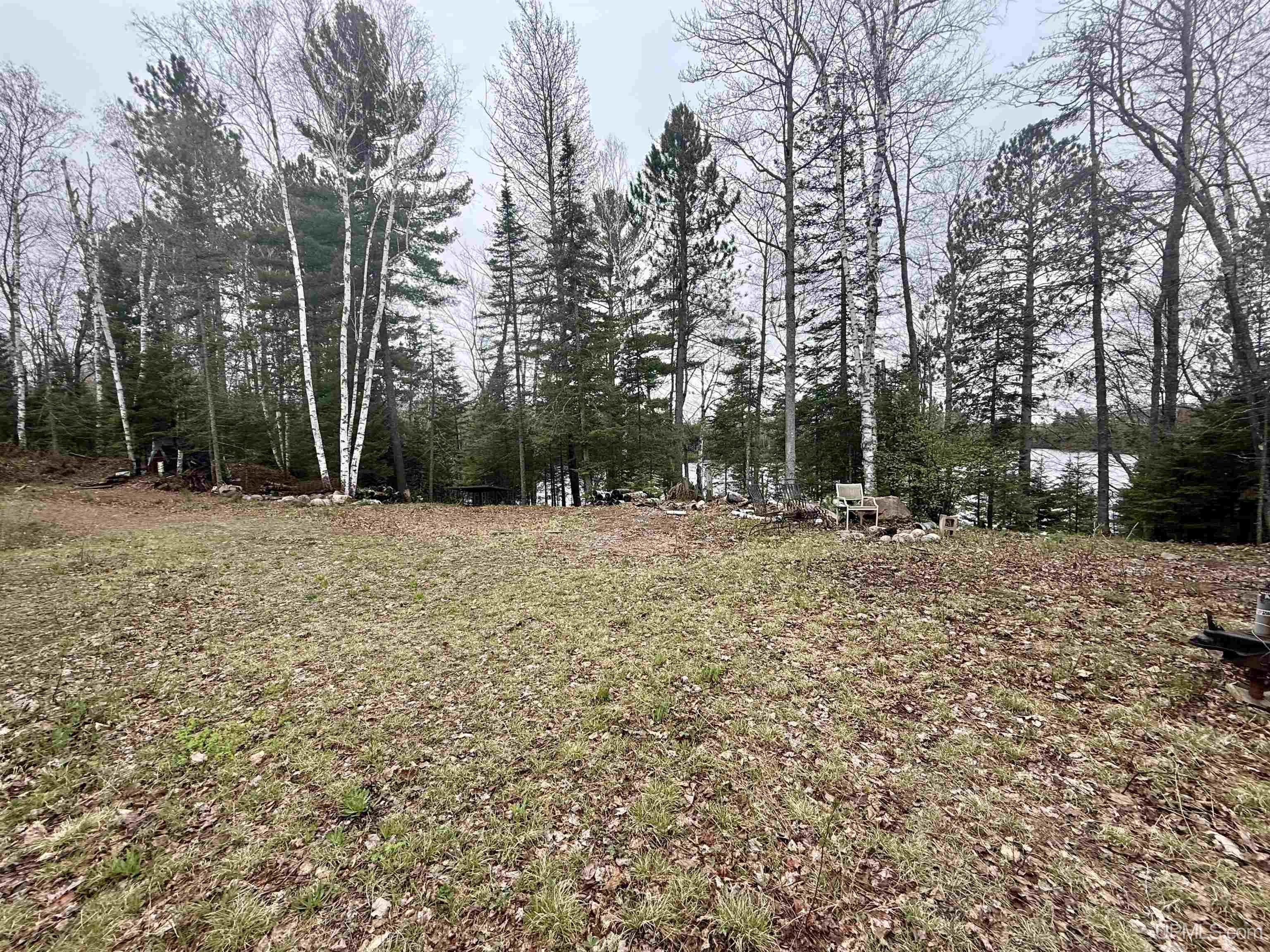 Tbd North Horseshoe Lake Road Republic, MI 49879 - Photo 11 of 12