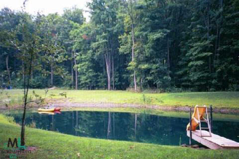 307 North Force Road Attica, MI 48412 - Photo 8 of 9 729367-7.JPG