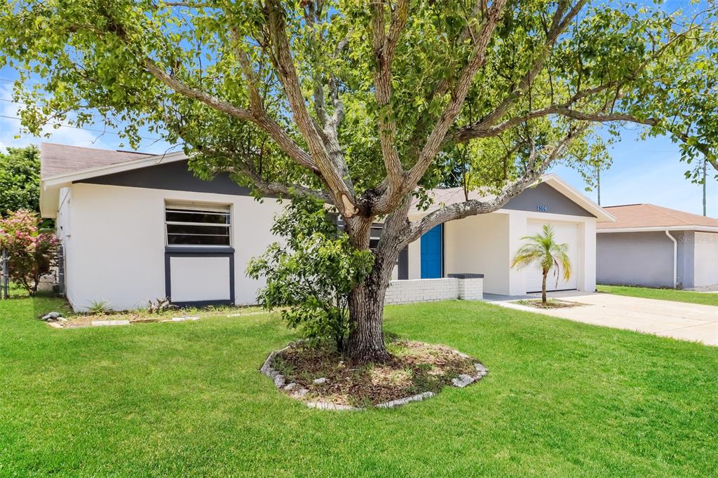 7506 Topay Lane Port Richey, FL 34668 - Photo 1 of 1