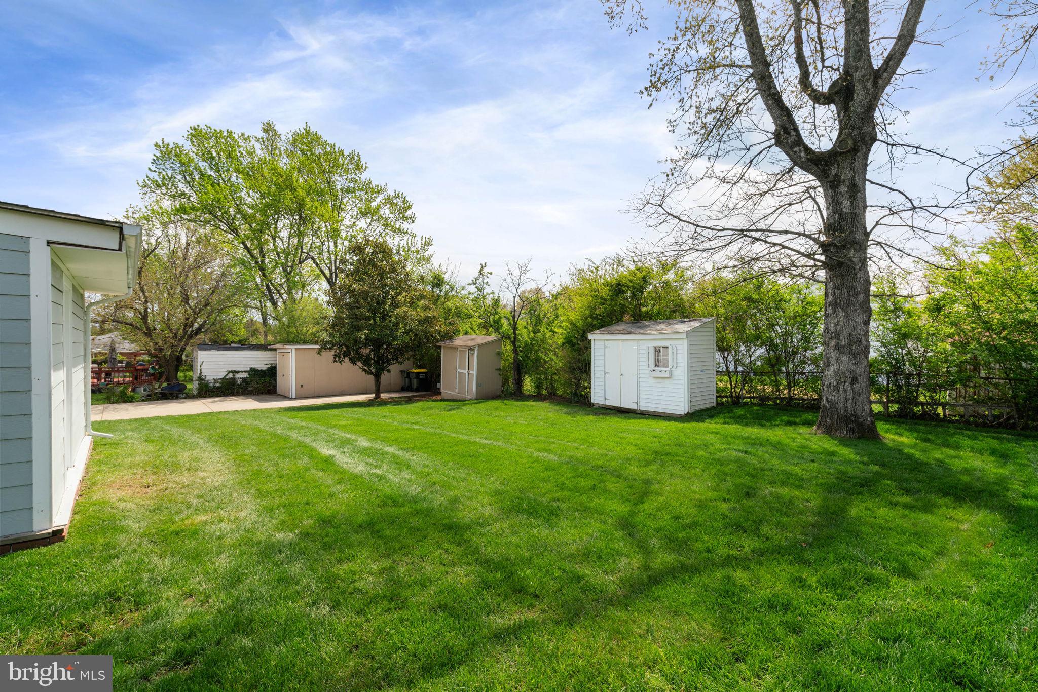 6607 Edsall Road Springfield, VA 22151 - Photo 42 of 47 a garden view