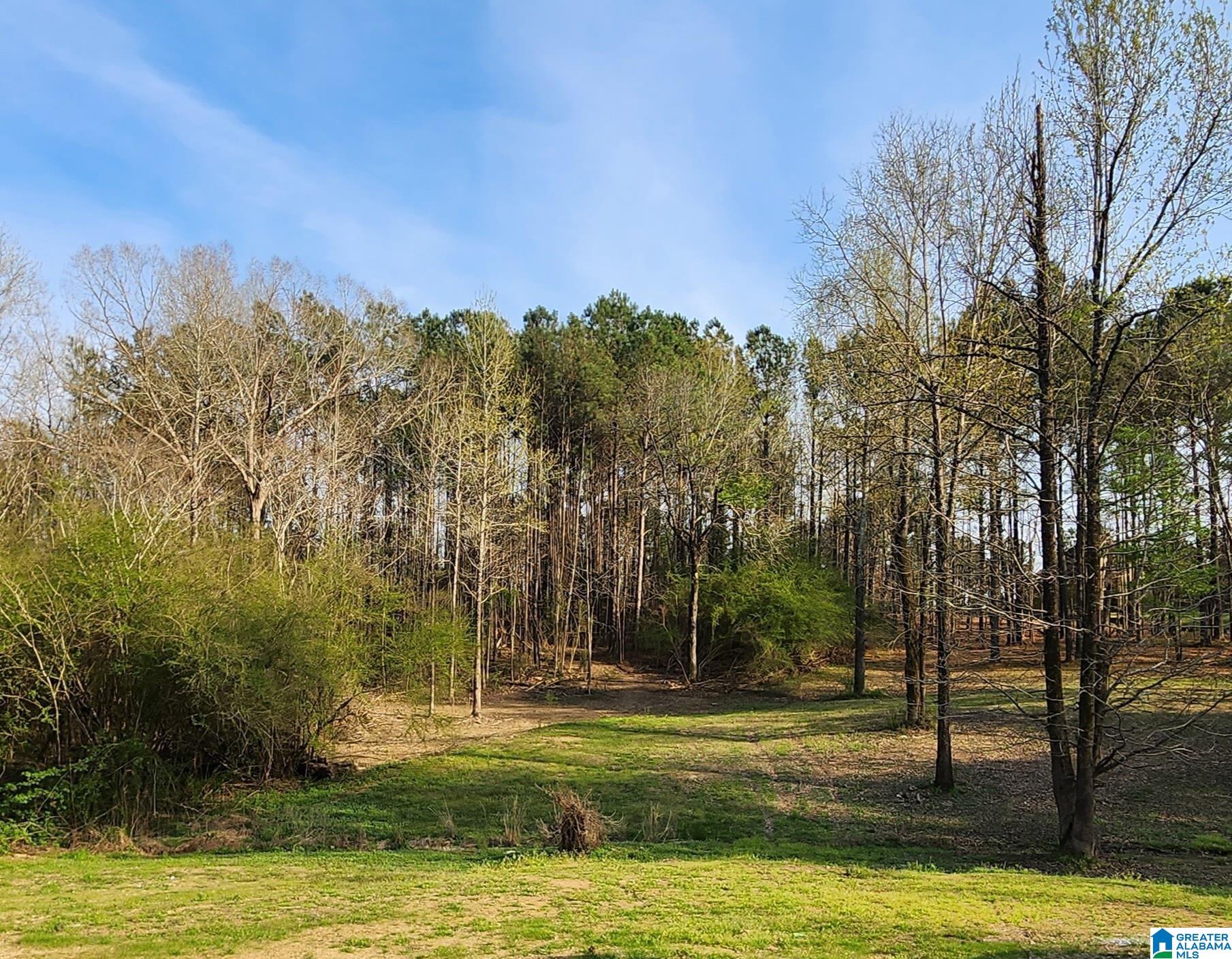 7148 Parsons Lake Road Adger, AL 35006 - Photo 7 of 34