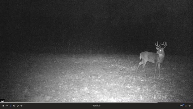 44047 Little Pine Road, Unit 568 ACRES Emily, MN 56447 - Photo 82 of 92