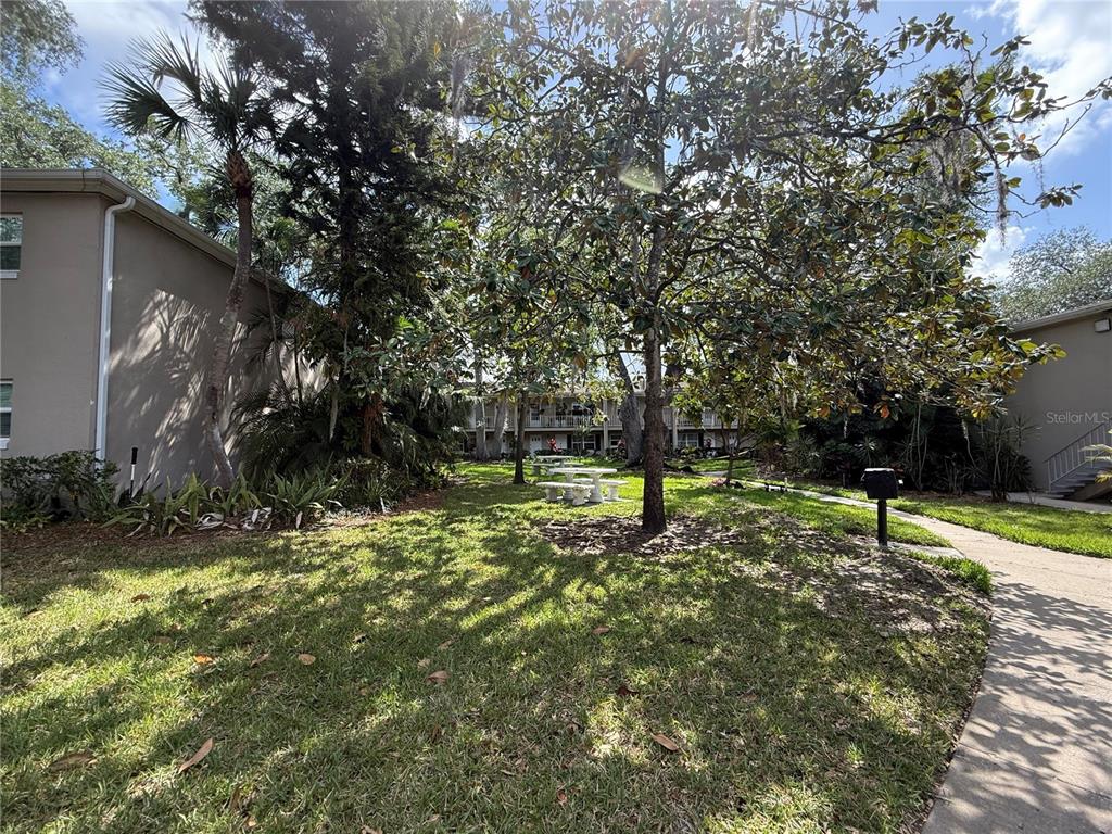 2500 Lee Road, Unit 208 Winter Park, FL 32789 - Photo 26 of 49 a view of a yard with a tree
