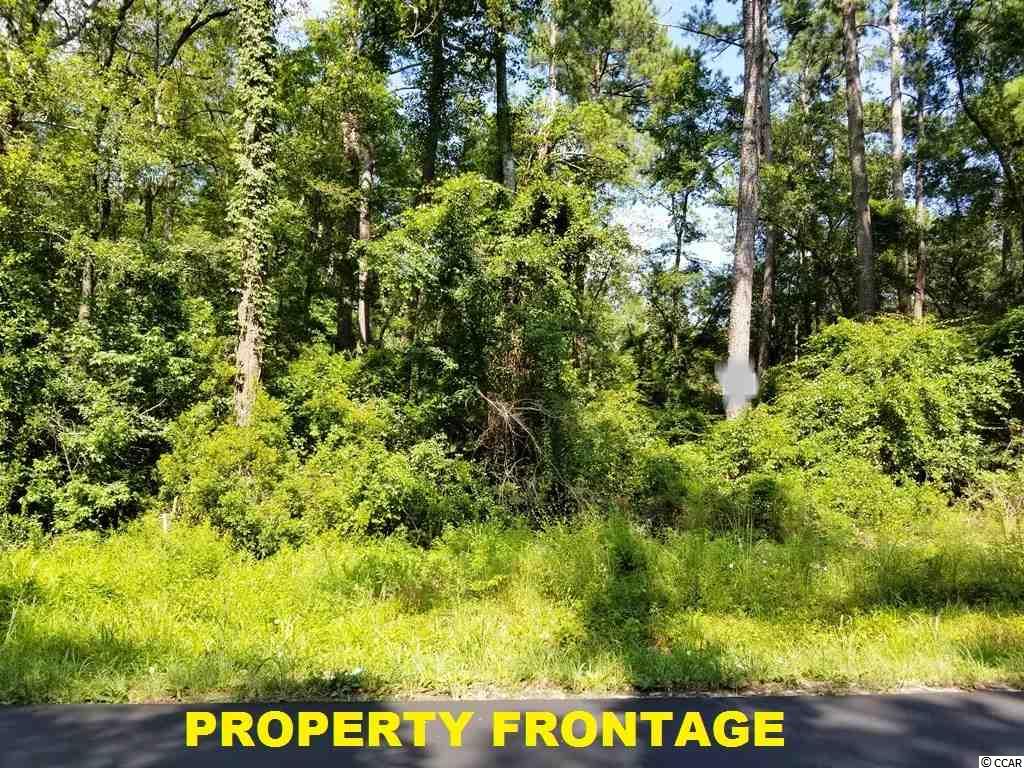 East Causey Road Conway, SC 29526 - Photo 11 of 15 Gallery Image 11