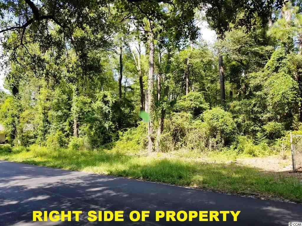 East Causey Road Conway, SC 29526 - Photo 12 of 15 Gallery Image 12
