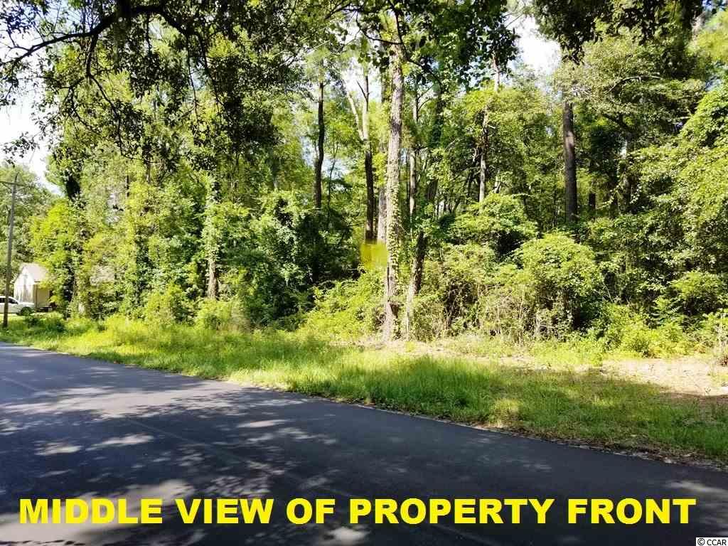 East Causey Road Conway, SC 29526 - Photo 13 of 15 Gallery Image 13