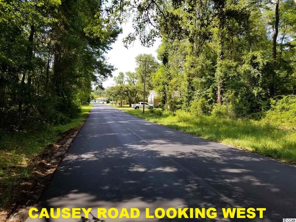 East Causey Road Conway, SC 29526 - Photo 14 of 15 Gallery Image 14