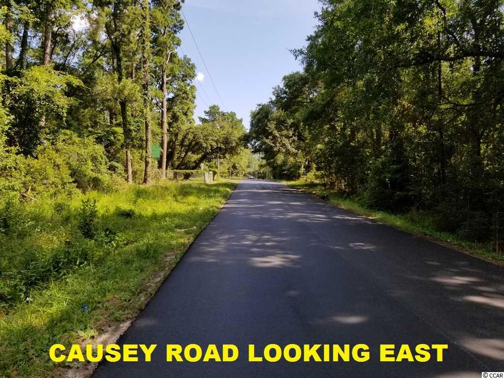 East Causey Road Conway, SC 29526 - Photo 15 of 15 Gallery Image 15