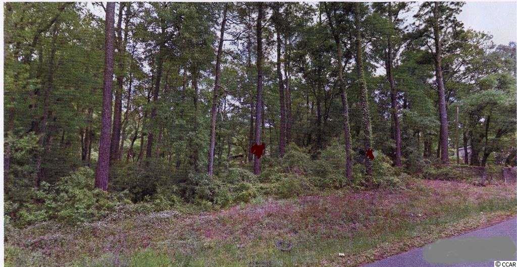 East Causey Road Conway, SC 29526 - Photo 5 of 15 Gallery Image 5