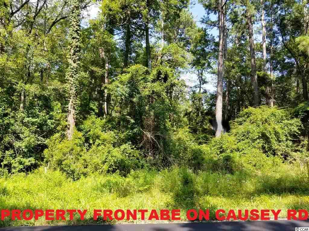 East Causey Road Conway, SC 29526 - Photo 10 of 15 Gallery Image 10