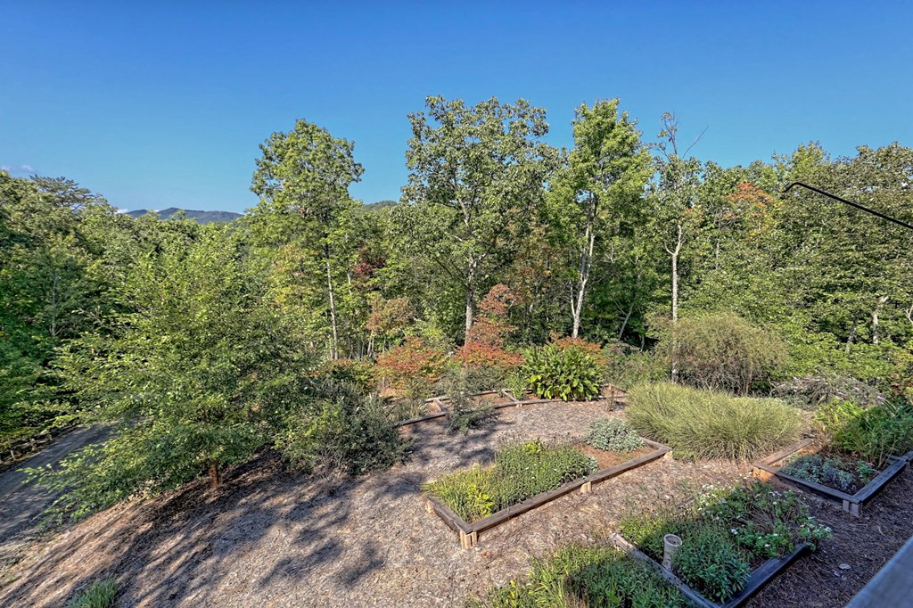 21 Talala Ridge Brasstown, NC 28902 - Photo 28 of 71 Gallery Image 28
