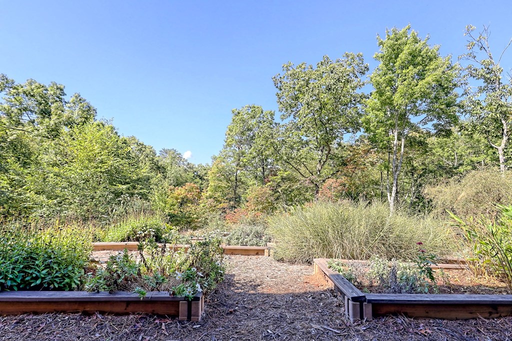 21 Talala Ridge Brasstown, NC 28902 - Photo 67 of 71 Gallery Image 67