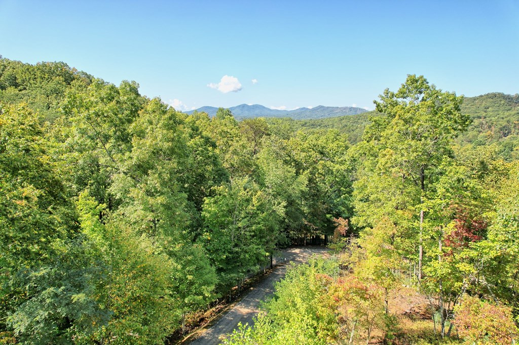 21 Talala Ridge Brasstown, NC 28902 - Photo 71 of 71 Gallery Image 71
