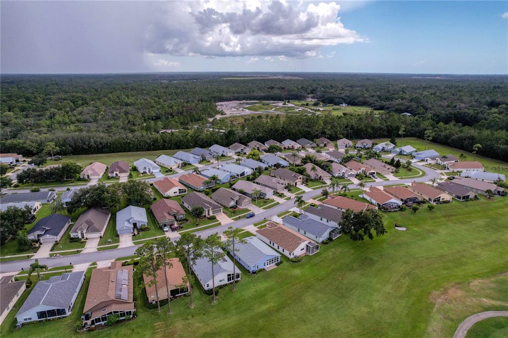 11644 Spindrift Loop Hudson, FL 34667 - Photo 63 of 99 an aerial view of residential houses with outdoor space and trees
