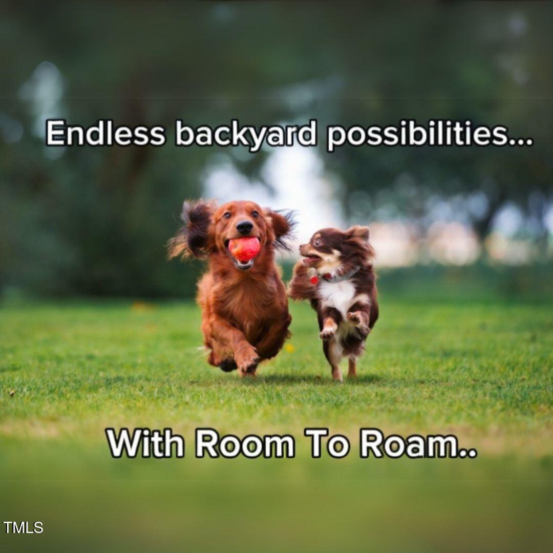 33 White Azalea Way Benson, NC 27504 - Photo 22 of 25 a view of a park