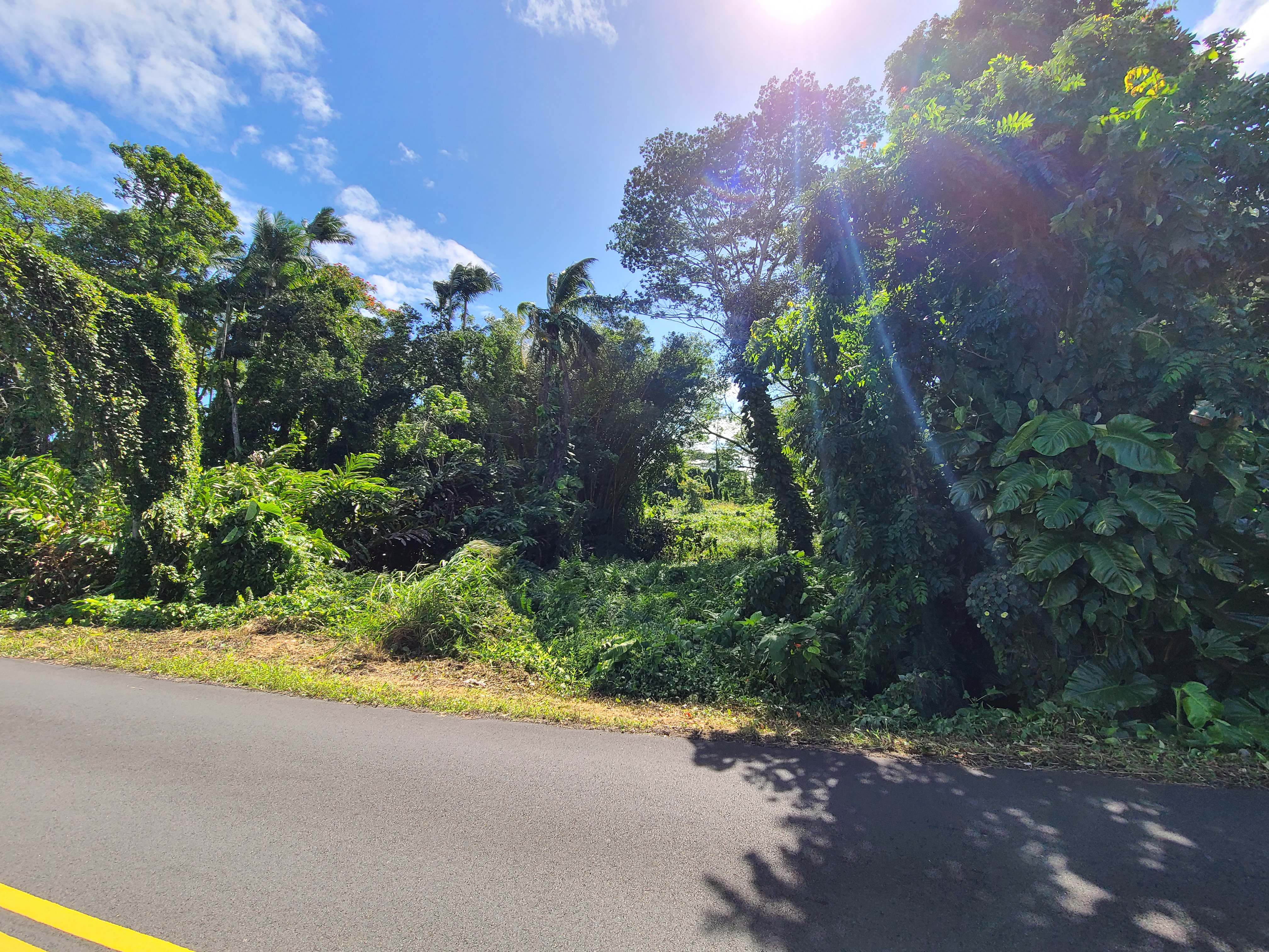 3 Lot Hilo, HI 96720 - Photo 12 of 20 a view of a street with a house