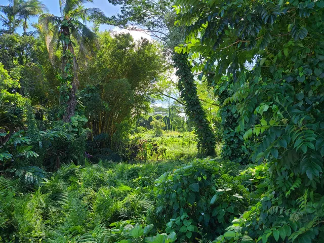 a backyard of a house